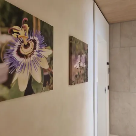 Grafea Apartment&rooms * Catania